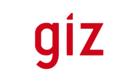 Giz logo