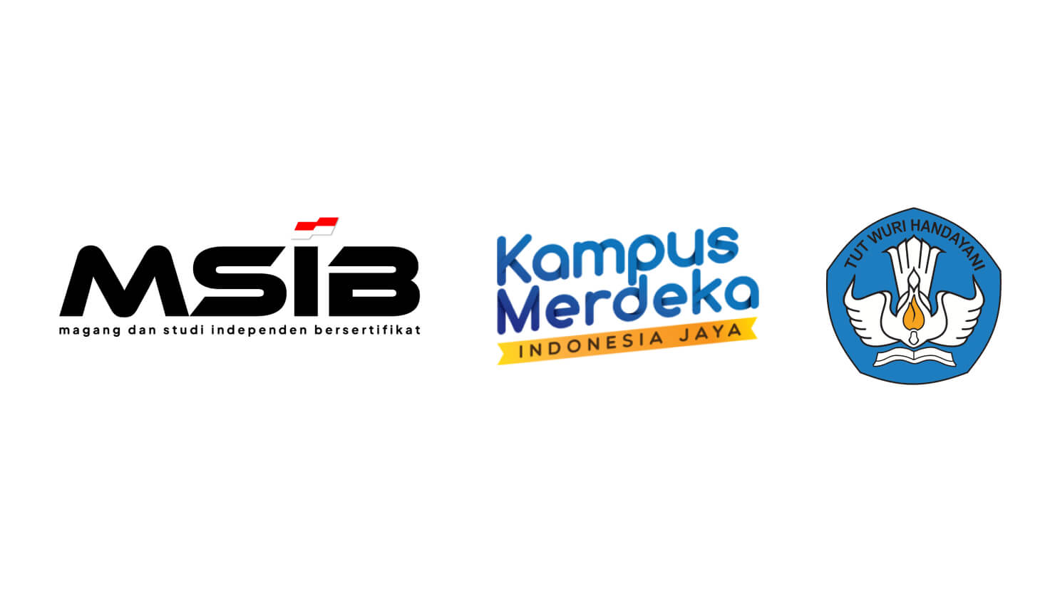 MSIB Program Image
