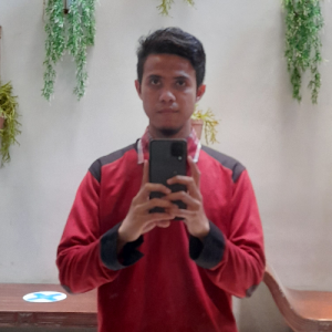 Aldi Irsan Majid